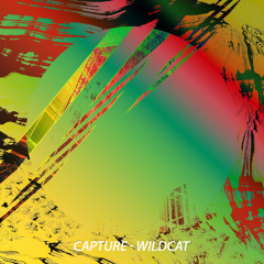 Capture - Wildcat