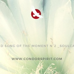 SacredSongOfTheMoment_N°2_Soulcalling