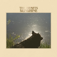 Dead & Gone (Radio Edit)