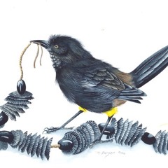 Endlings (Live Extract with pianist James Willshire and the NYOS Symphony Orchestra)