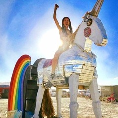 Disco Unicorns - Remastered