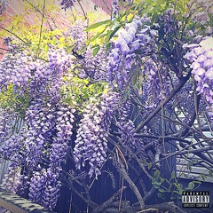 Grape Choice (Prod. By Tajima Hal)