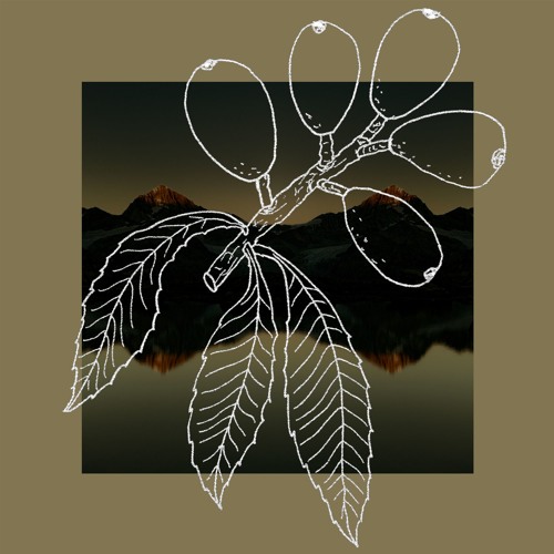 Loquat By Ray Ben Rue On Soundcloud Hear The World S Sounds Like me til you love me. soundcloud