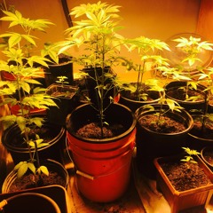 Not The Jordan - 3Ray & Blocc Do$