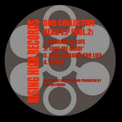 Dub Collective  -  Head Strong 4 Life