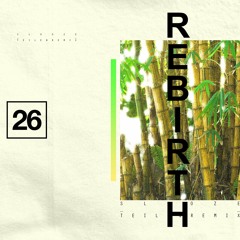 Slooze - Rebirth (TEILEN REMIX)