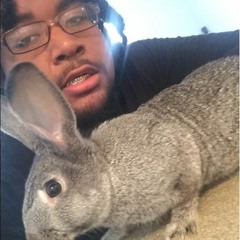 Flexed Up Ft. TokinPotent & SkumDaddy (Prod. Bitter$weet)