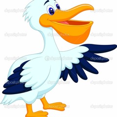 Tired but still happy Pelican Song