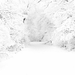 Winter (CLIP) [Full Track Available For Lease]