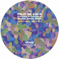 Felix De Luca - Everything Is Camouflage (Shatter Hands Remix)