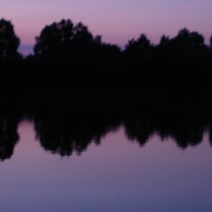 Wie Fett Ist Das Den