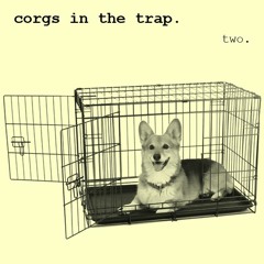 Corgs in the Trap #2