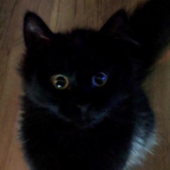 Darkness For My Shadow - Jay Mass