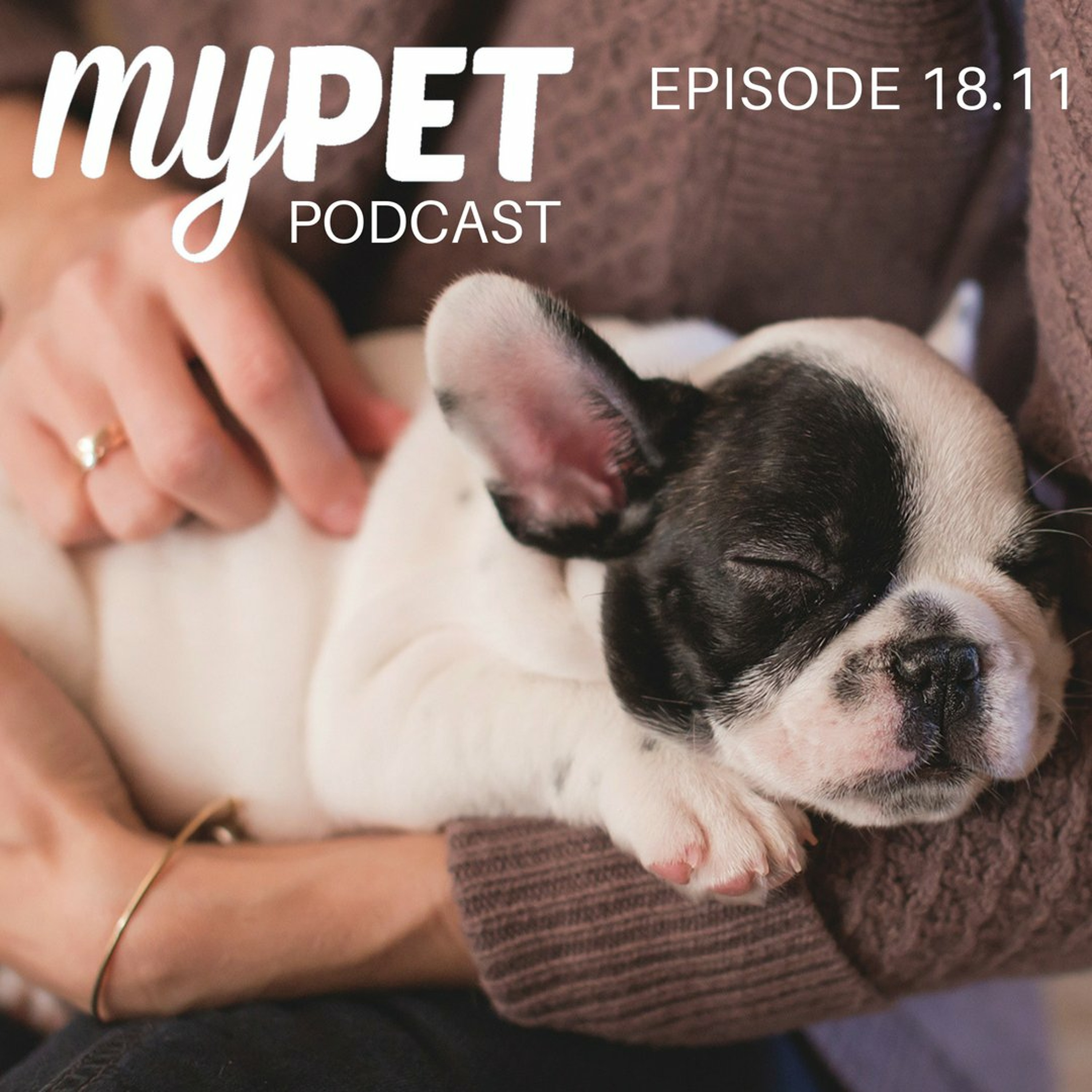 Bringing home a new puppy. episode artwork