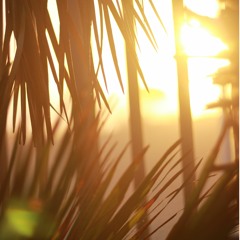 i will love you forever more