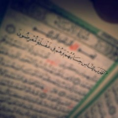 21 تلاوة خاشعة للشيخ مشاري راشد العفاسي سورة الأنبياء
