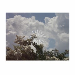 Mikey Sol - Gone Away
