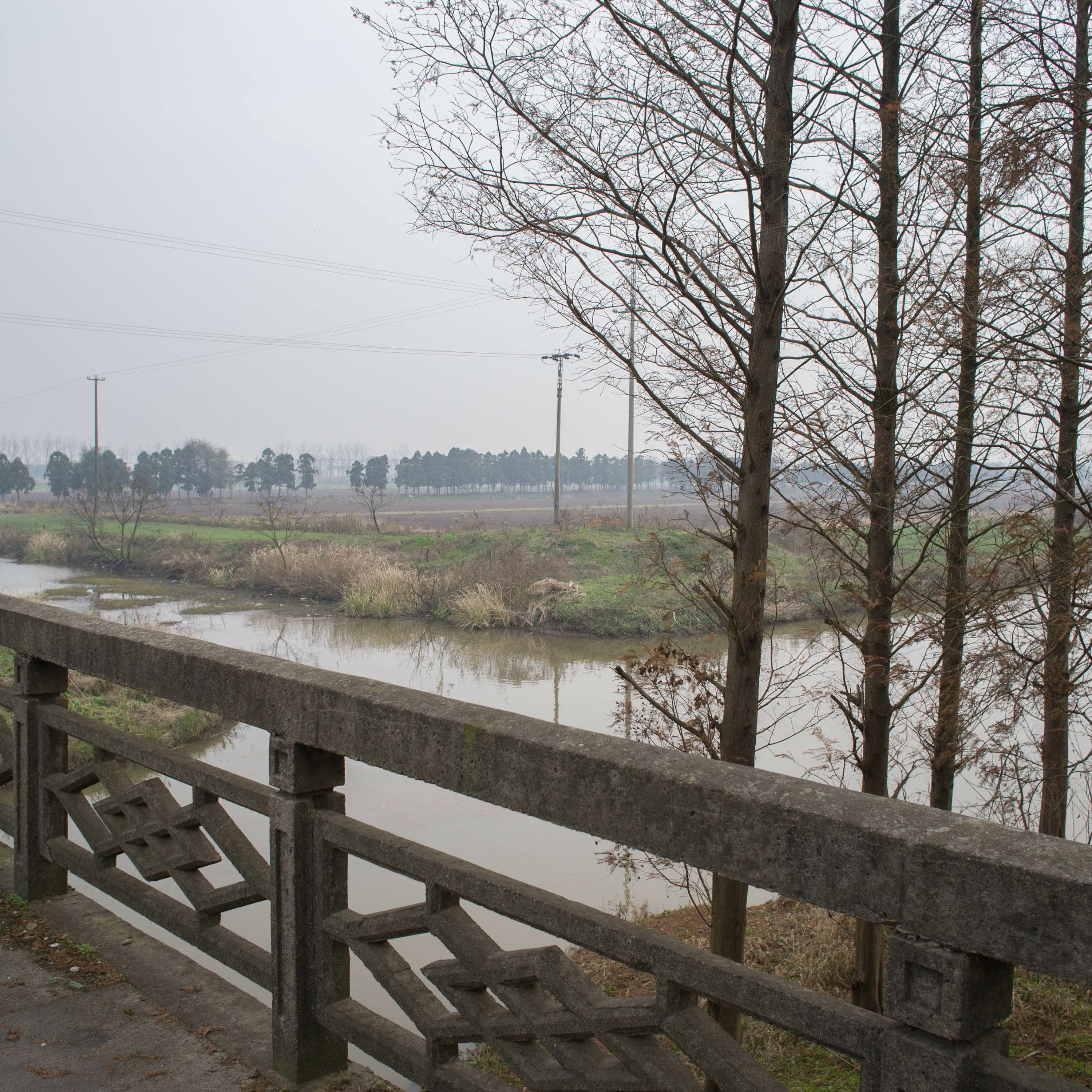 Chongming Dao Tapes | Flow\\Flux