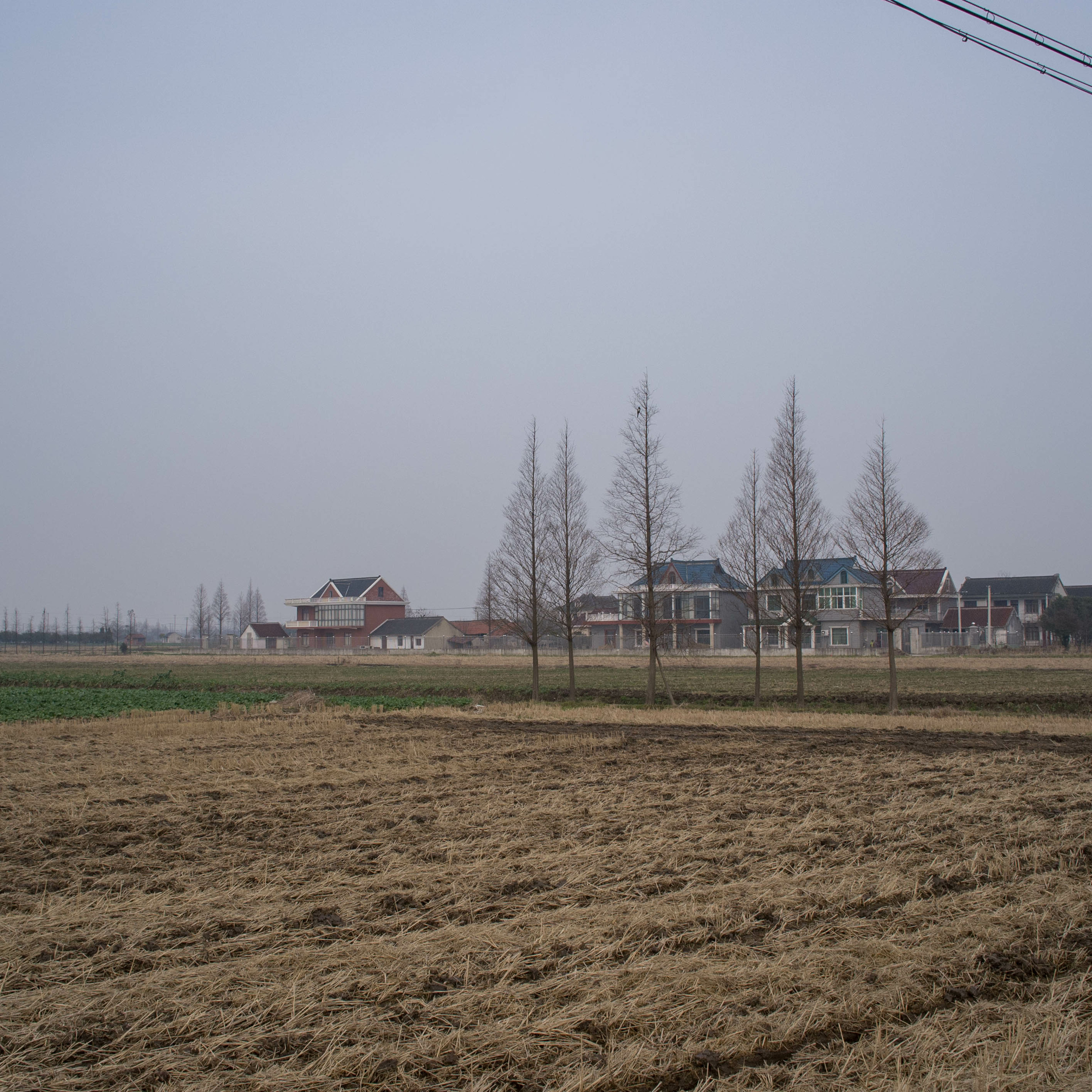 Chongming Dao Tapes | Flow\\Flux