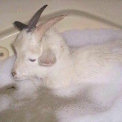 Sagon – Lil Uzi Vert takin a bath