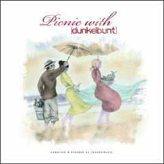 Picnic With [dunkelbunt] VINYL EDITION