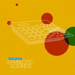 PREMIERE: Symbiotic Sounds - Summer Wind [SEO016]
