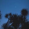 Through The Late Night Mp3