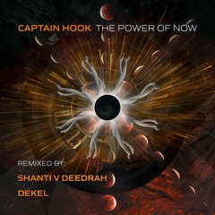 Captain Hook - The Power of Now (Dekel Remix)