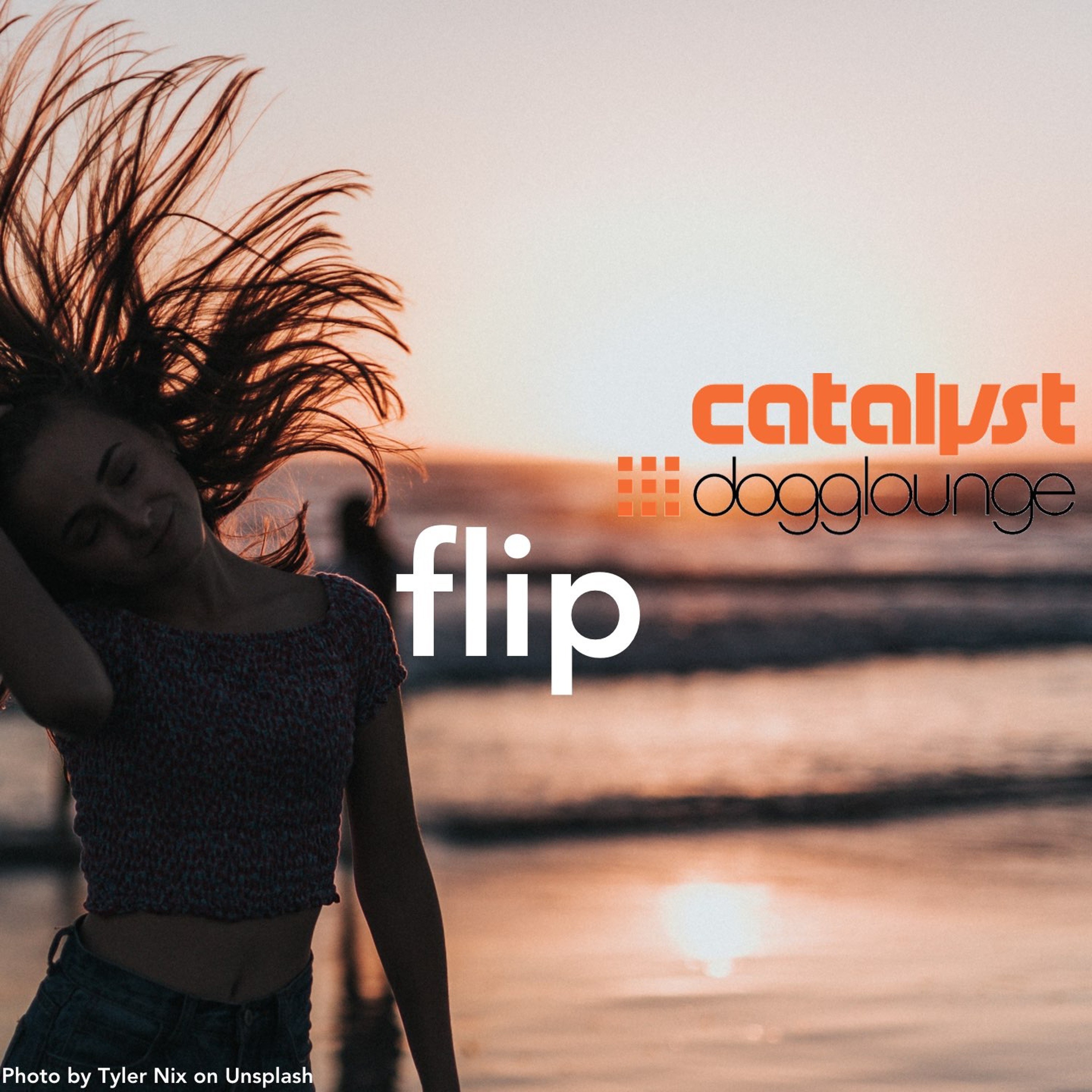 cover of episode flip (live from dogglounge.com)