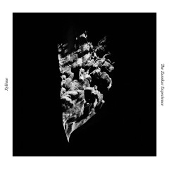 Xylème - Opening