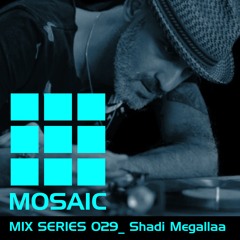 Mosaic Mix Series 029_ Shadi Megallaa