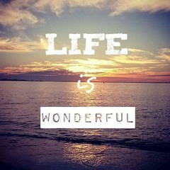 Wunderful Life [ProblemKind]
