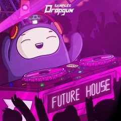 Future House (Sample Pack)
