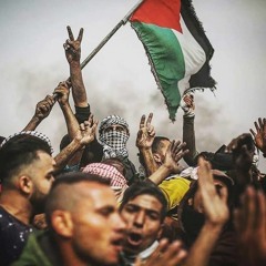 لحظة دخول بعض المتظاهرين إلى الأراضي المحتلة