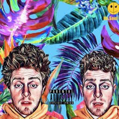 Sea Turtle (ft. Josh Safari)