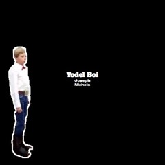 Walmart Yodel Boy (Joseph Nichols Remix)(Re-Upload)