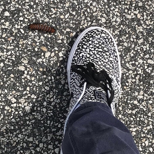 - B!tches brewin remix