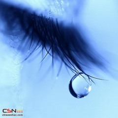 Misery And Sadness - Various Artists [Lossless FLAC]
