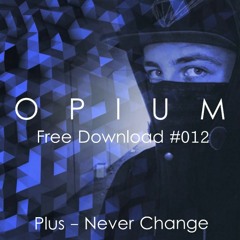 Plus - Never Change