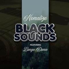 BlackSounds feat. Lunga Duma - Nomalizo.mp3