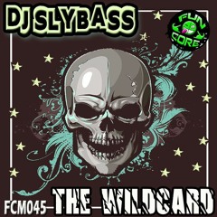 FCM045 DJ SLYBASS - POWA