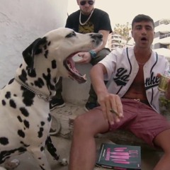 Petit Ribery - Vacilon
