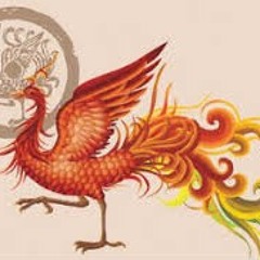 Xuan Niao 玄鸟 Yixuan Zhao 赵艺璇