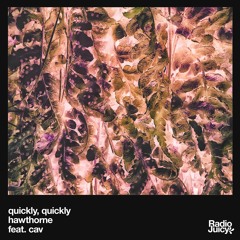 quickly, quickly - hawthorne feat. cav