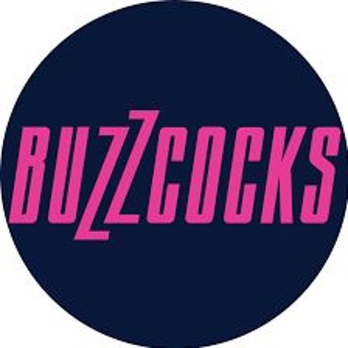 Why Can't I Touch It (buzzcocks)
