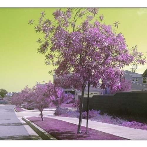 KY- Simple Freestyle