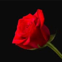 Mother Nature (Chiptune)