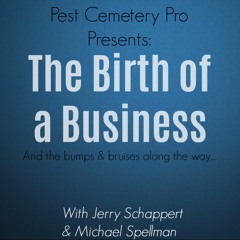 The Birth of a Business and the Bumps & Bruises Along The Way
