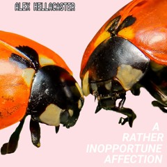 A RATHER INOPPORTUNE AFFECTION