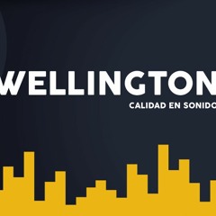 DJ Wellington - Mr Wilson Muevete Mas Lento